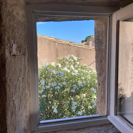 Penzion D'hotes La Tour D'aspiran 4*